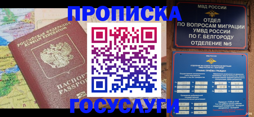 прописка регистрация в Чудово
